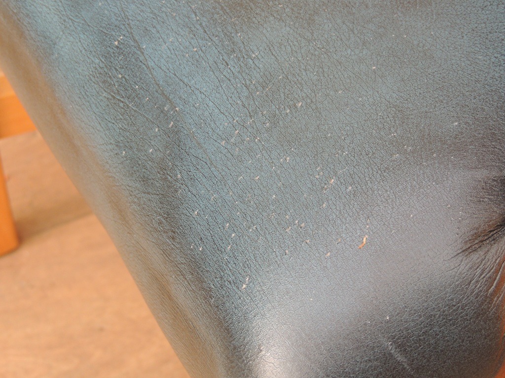 Chesterfield Antique Blue Carver Chair - Image 11