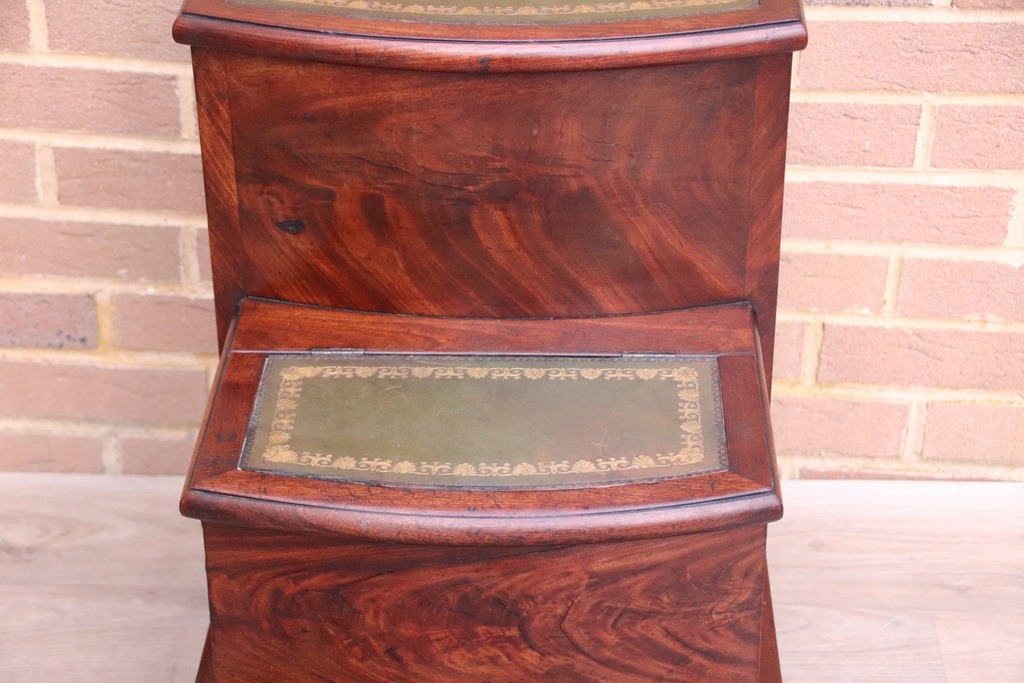 English Mahogany Library Antique Steps - Image 14