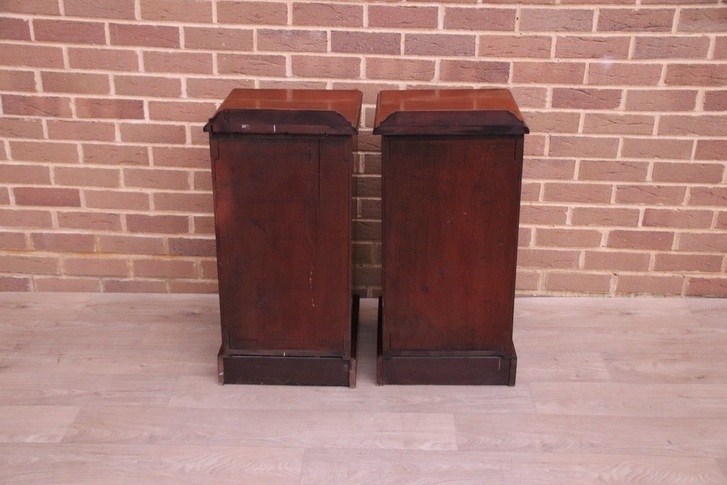 Pair of Antique Mahogany Pot Cupboards - Image 12