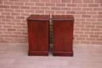 Pair of Antique Mahogany Pot Cupboards - Image 13