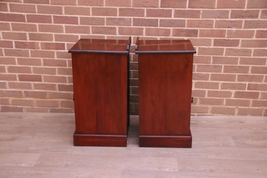 Pair of Antique Mahogany Pot Cupboards - Image 13