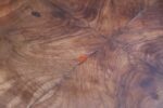 Pair of Art Deco Walnut Bedside Cabinets - Image 26
