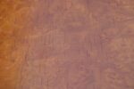 Pair of Antique Burr Walnut Bedside Cabinets - Image 22