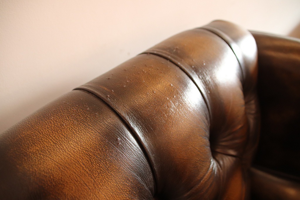 Pair of Thomas Lloyd Chesterfield Regent Armchairs - Image 8