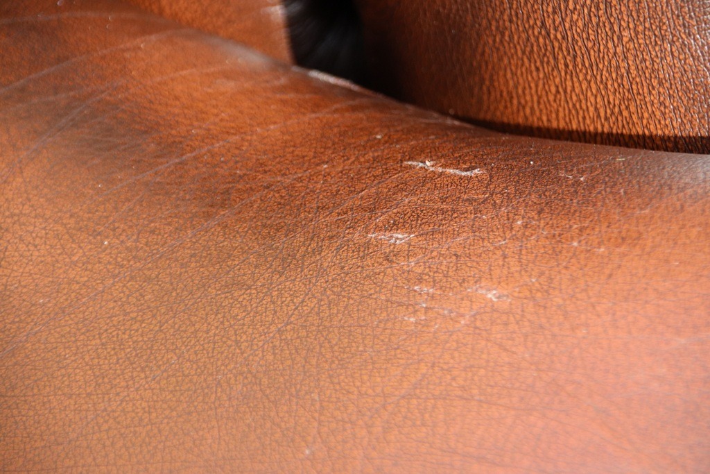 Thomas Lloyd Chesterfield Regent Sofa - Image 18