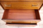 Vintage G Plan Chest of Drawers Tallboy - Image 13